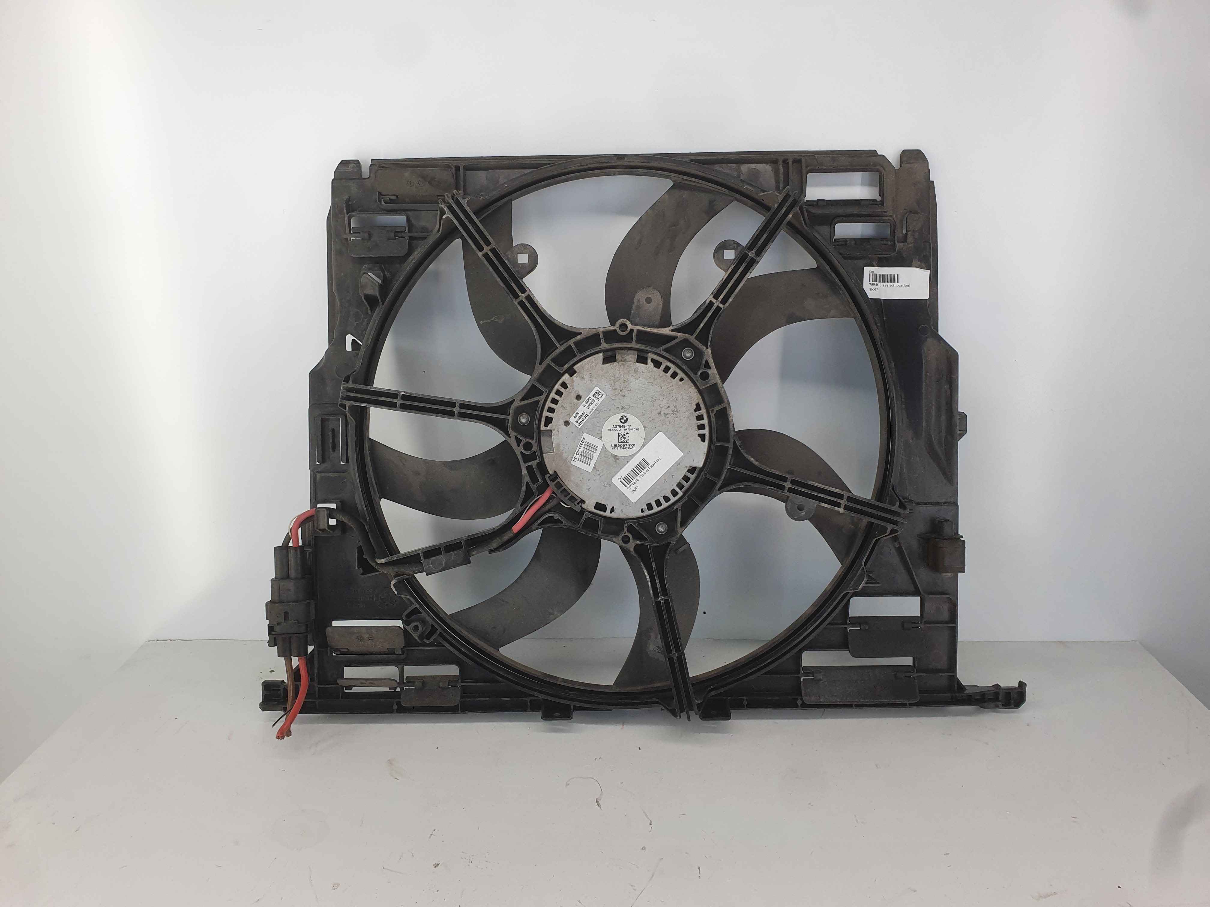 fan