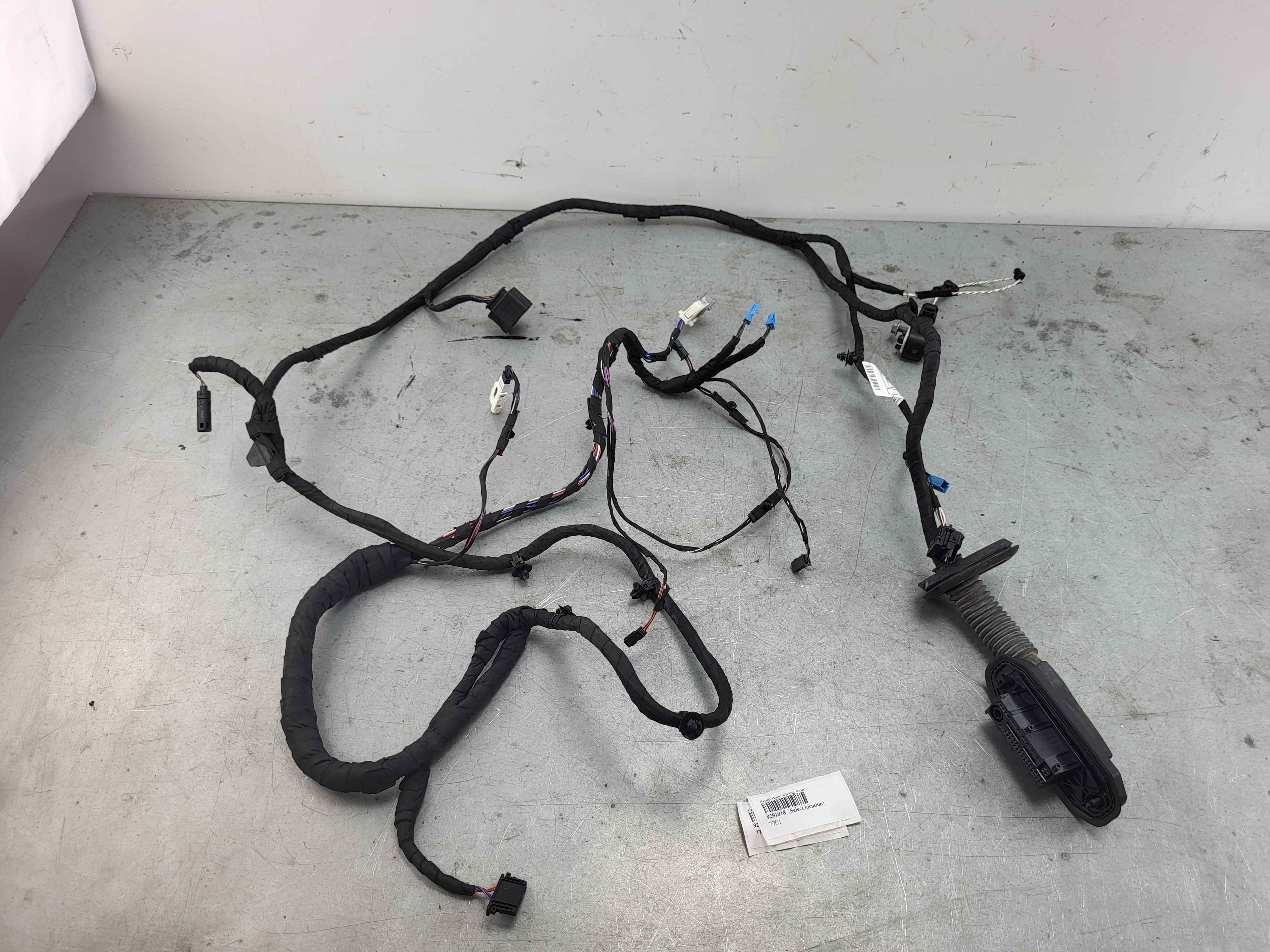 Front door wiring loom