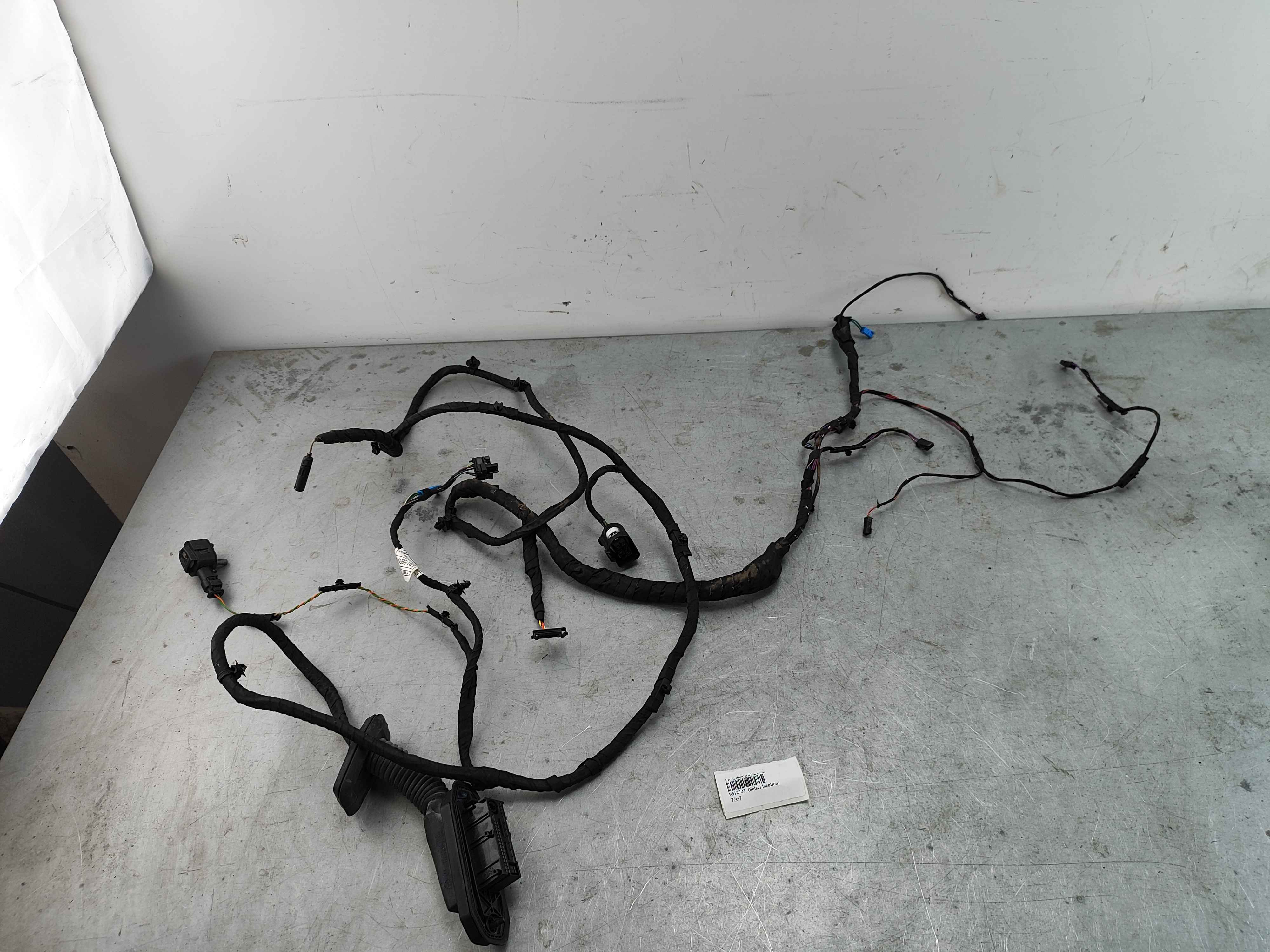 Front door wiring loom