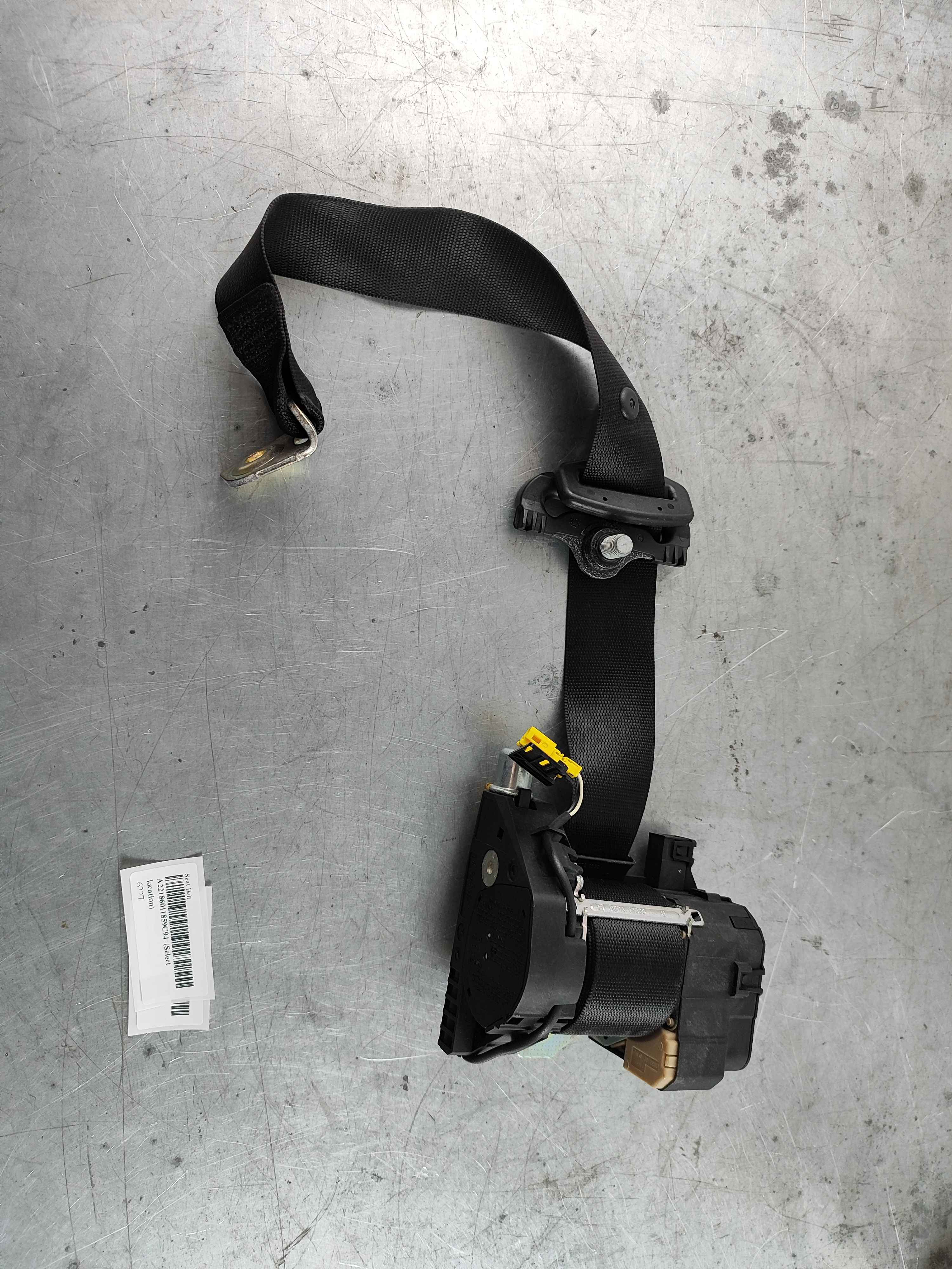 Seat Belt