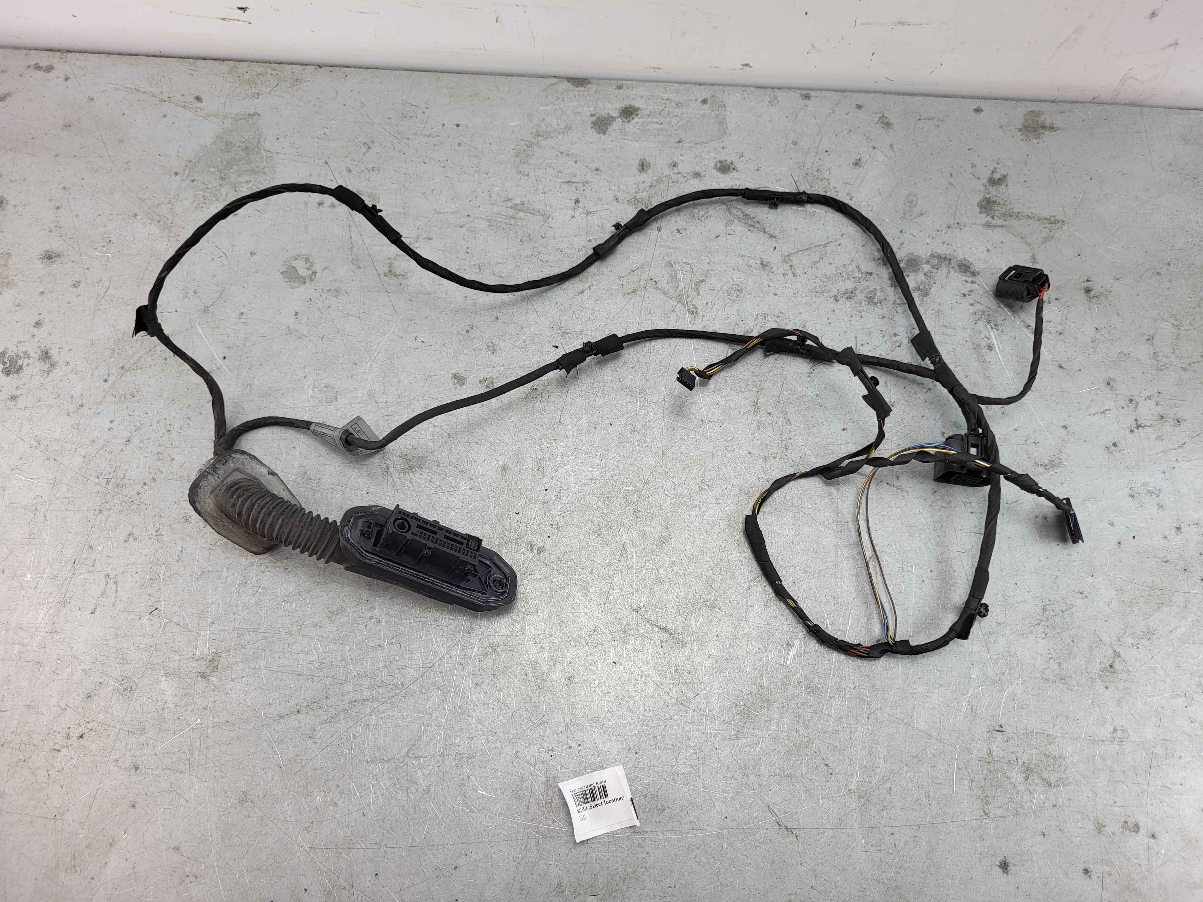 Rear door wiring loom