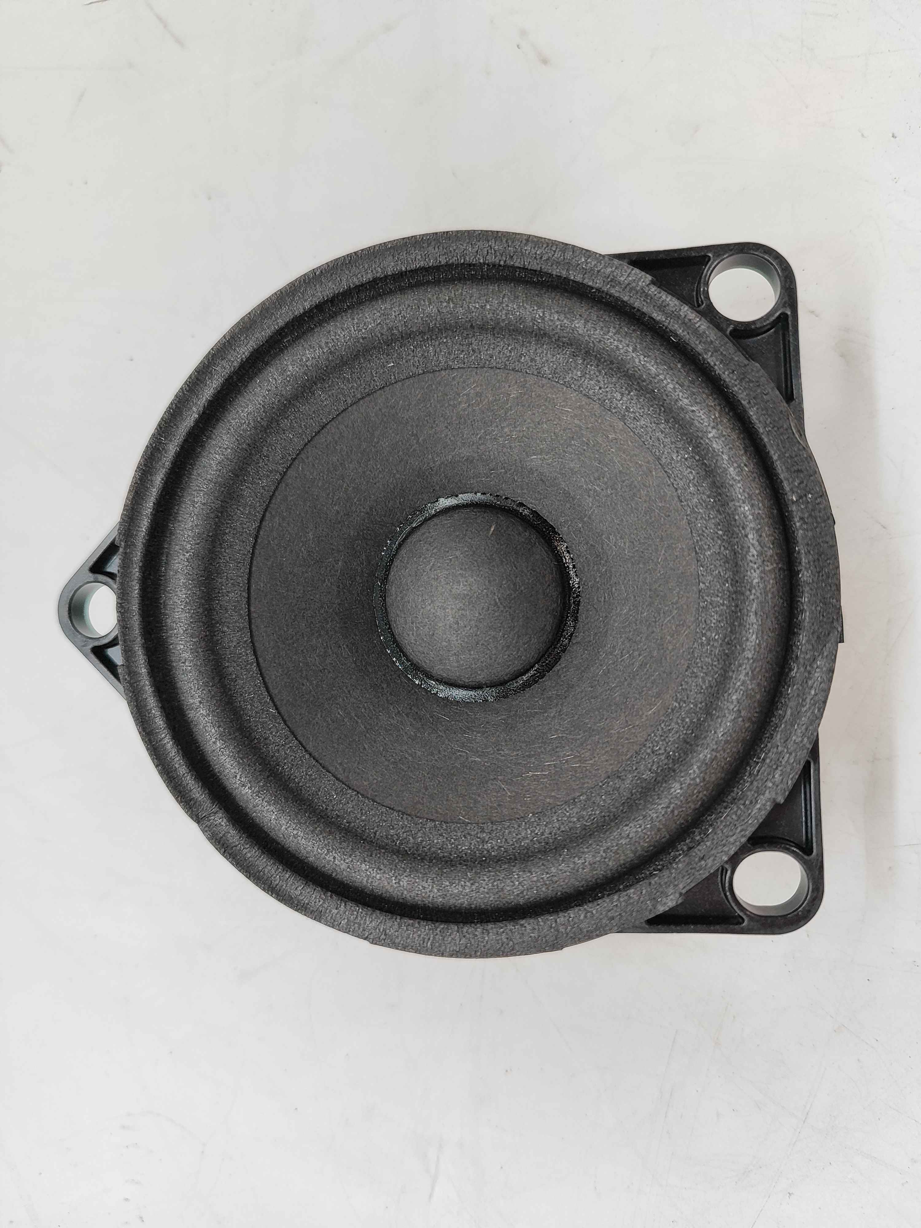 Loudspeaker, midrange, front door
