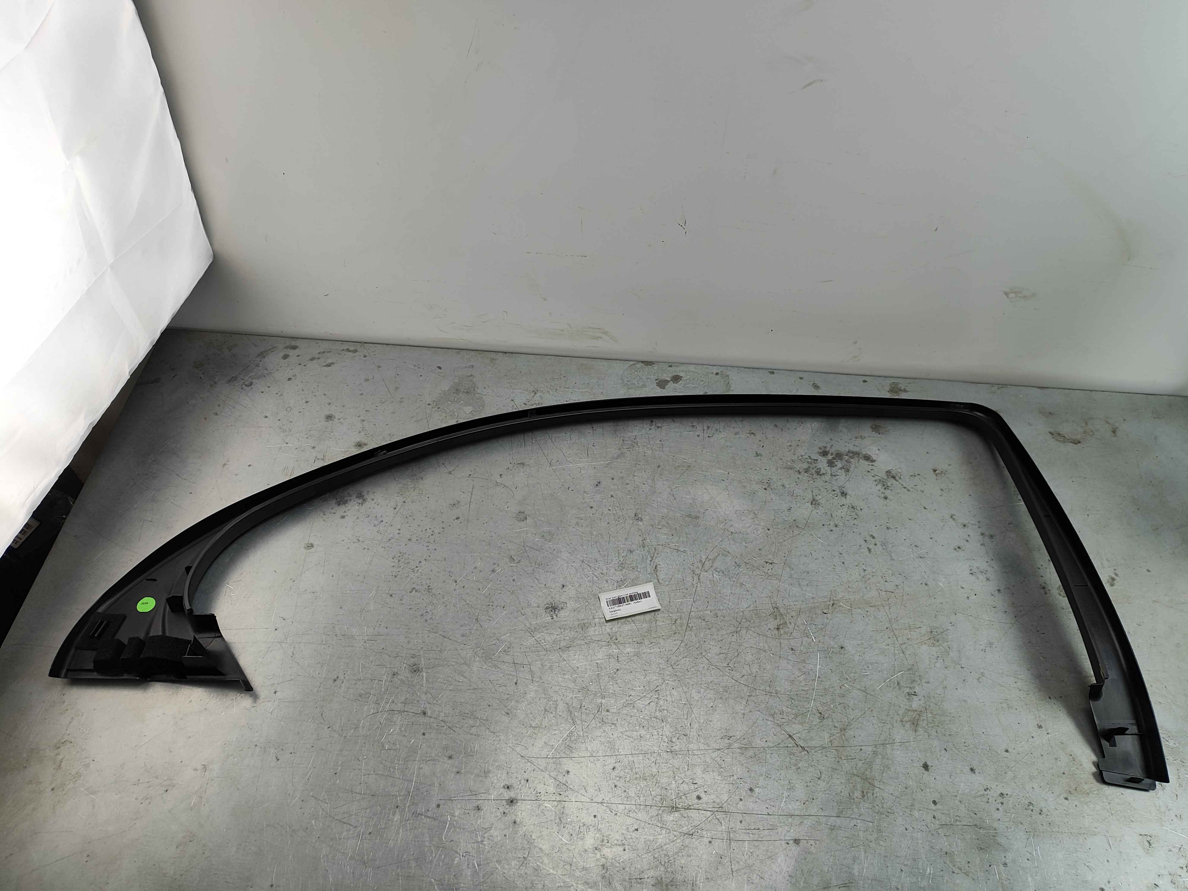 Rear door glass trim molding