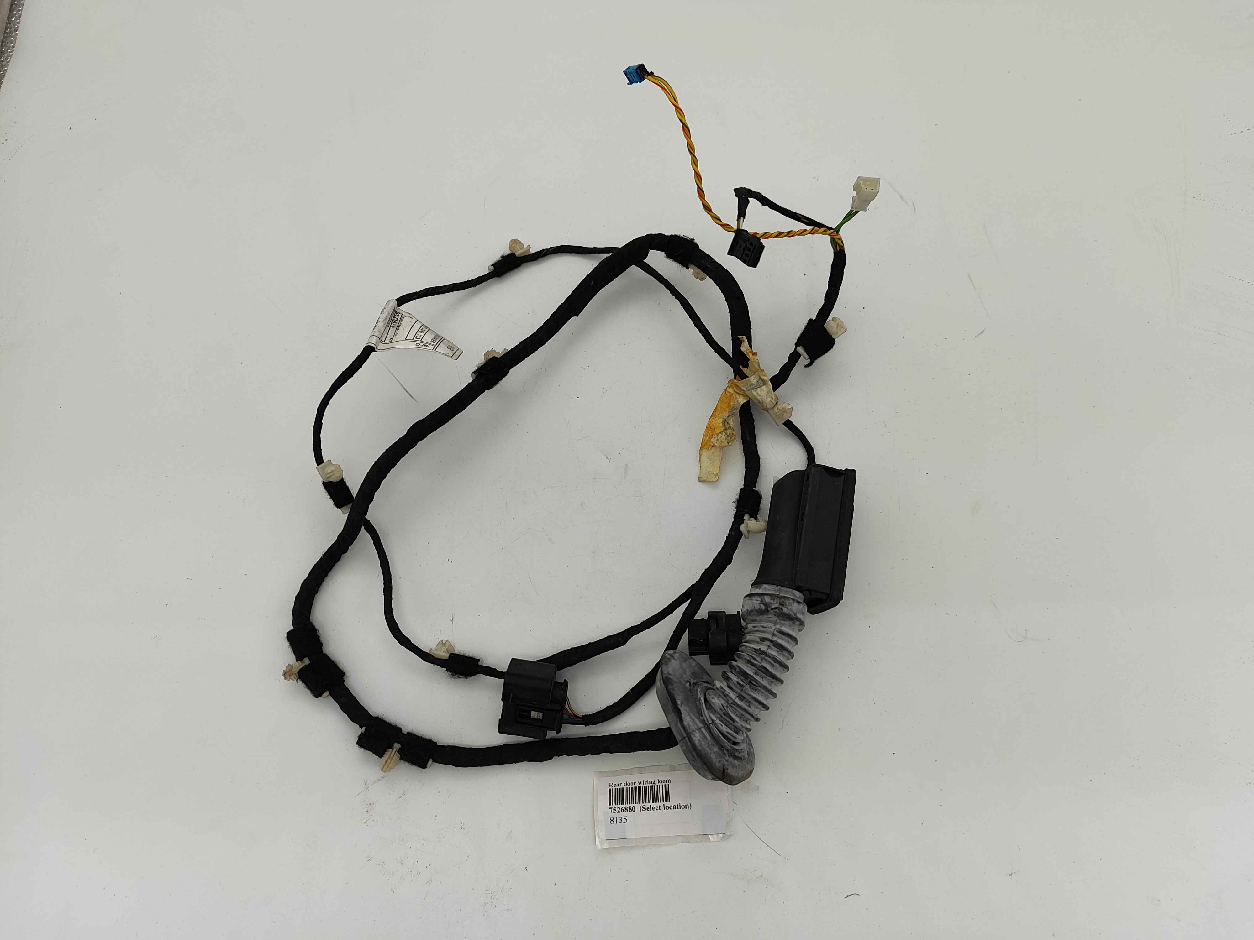 Rear door wiring loom