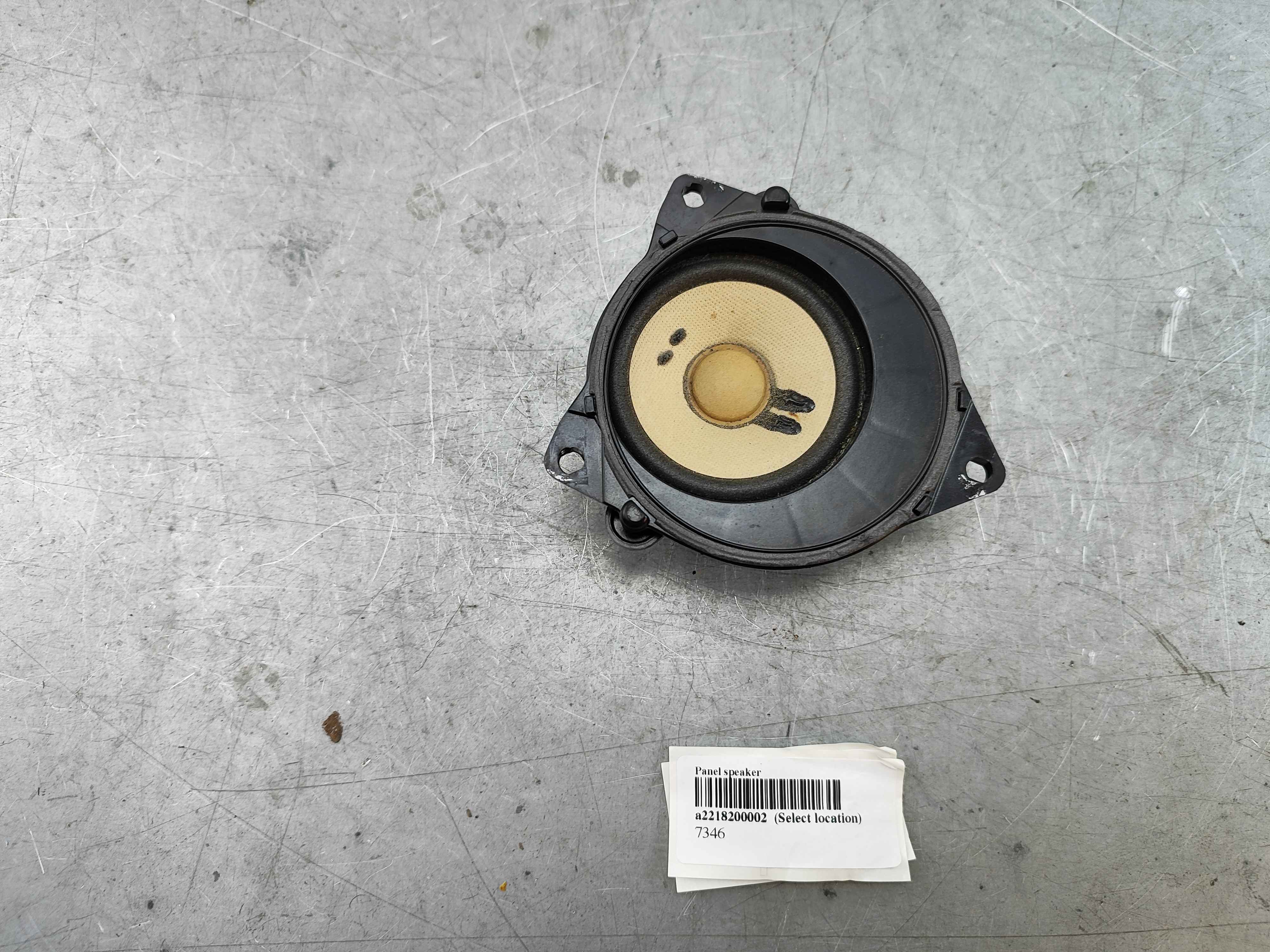Panel speaker