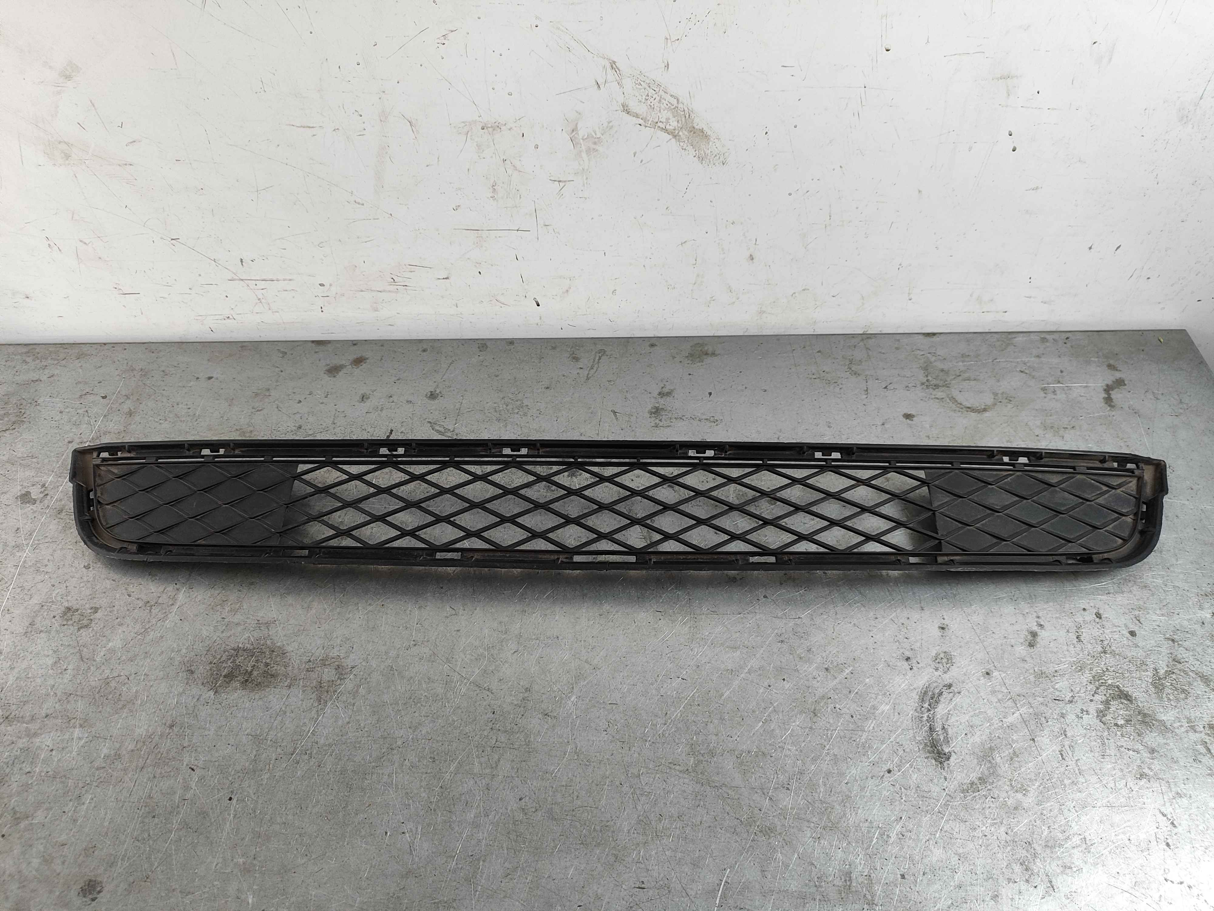 Grille, partially closed, bottom BMW