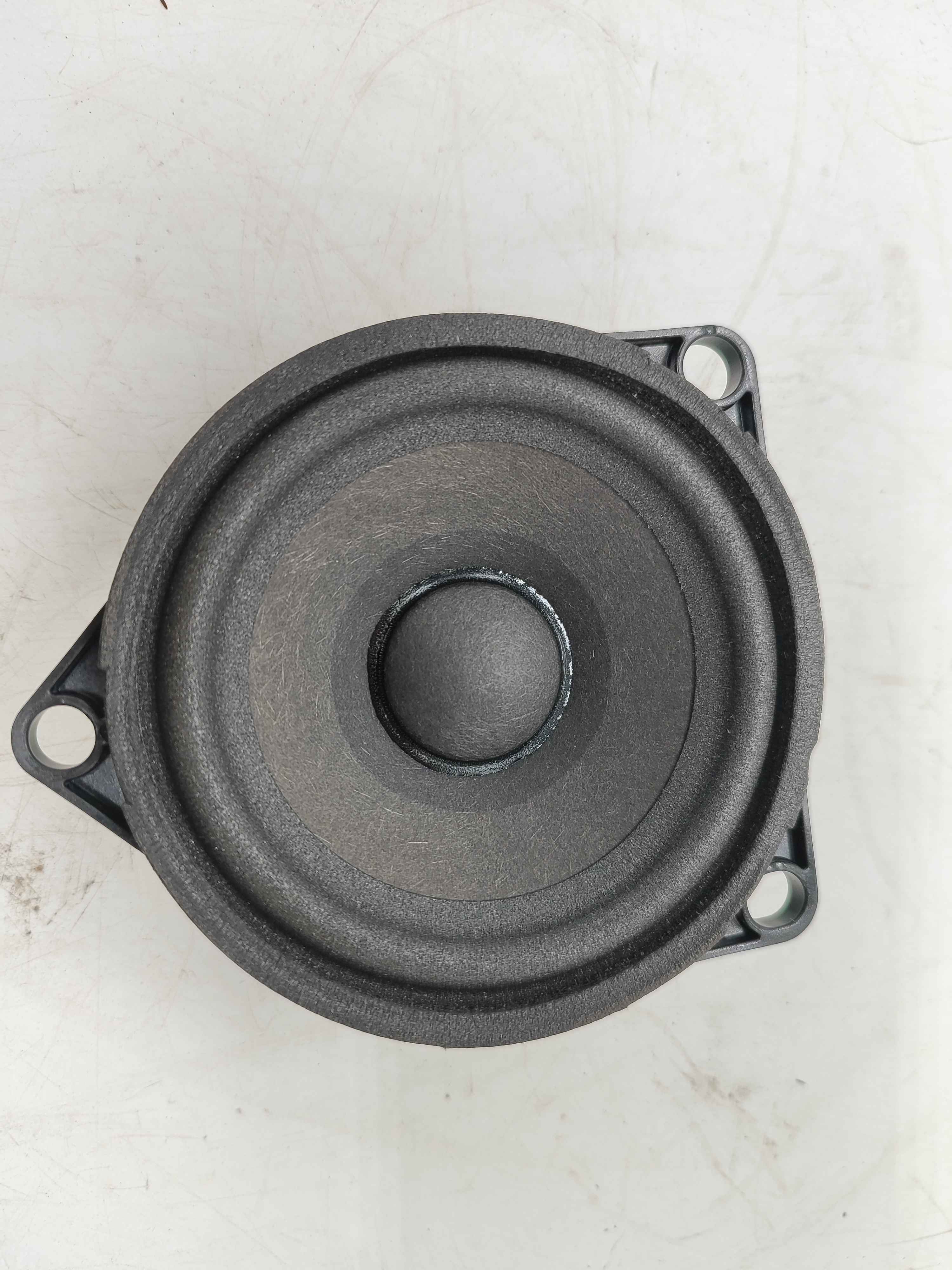 Loudspeaker, midrange, front door