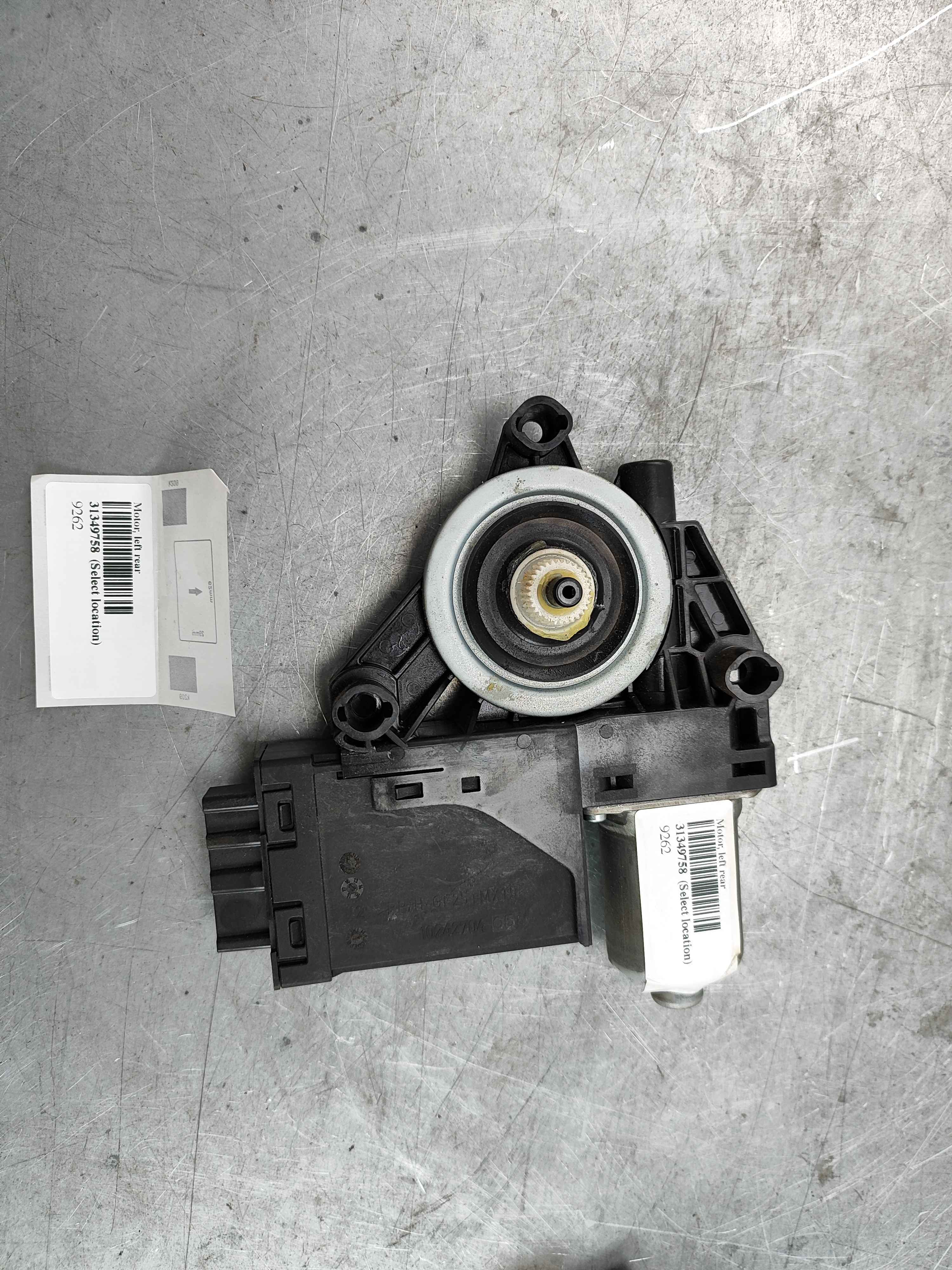 Motor, left rear