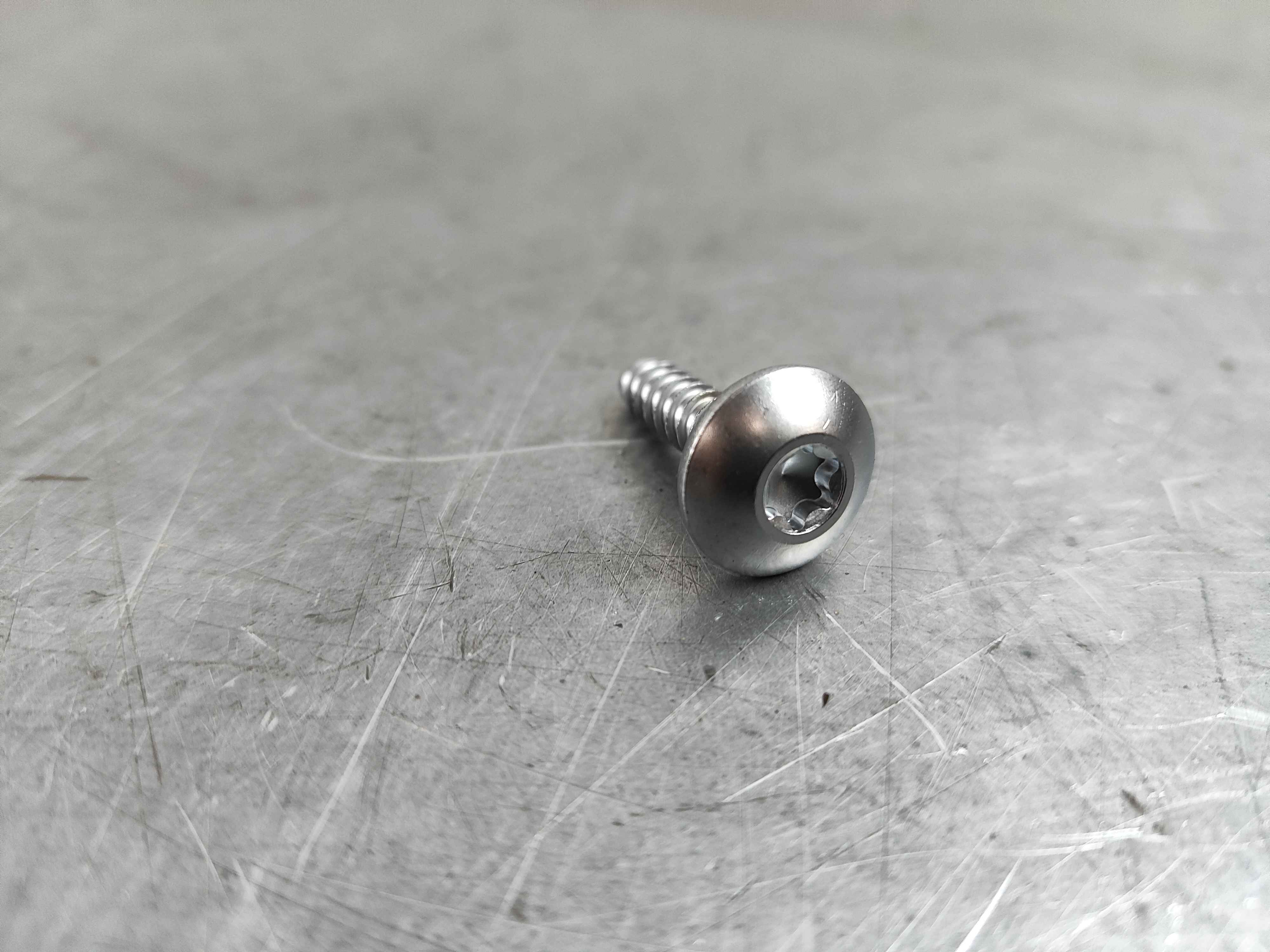 Fillister Head Screw