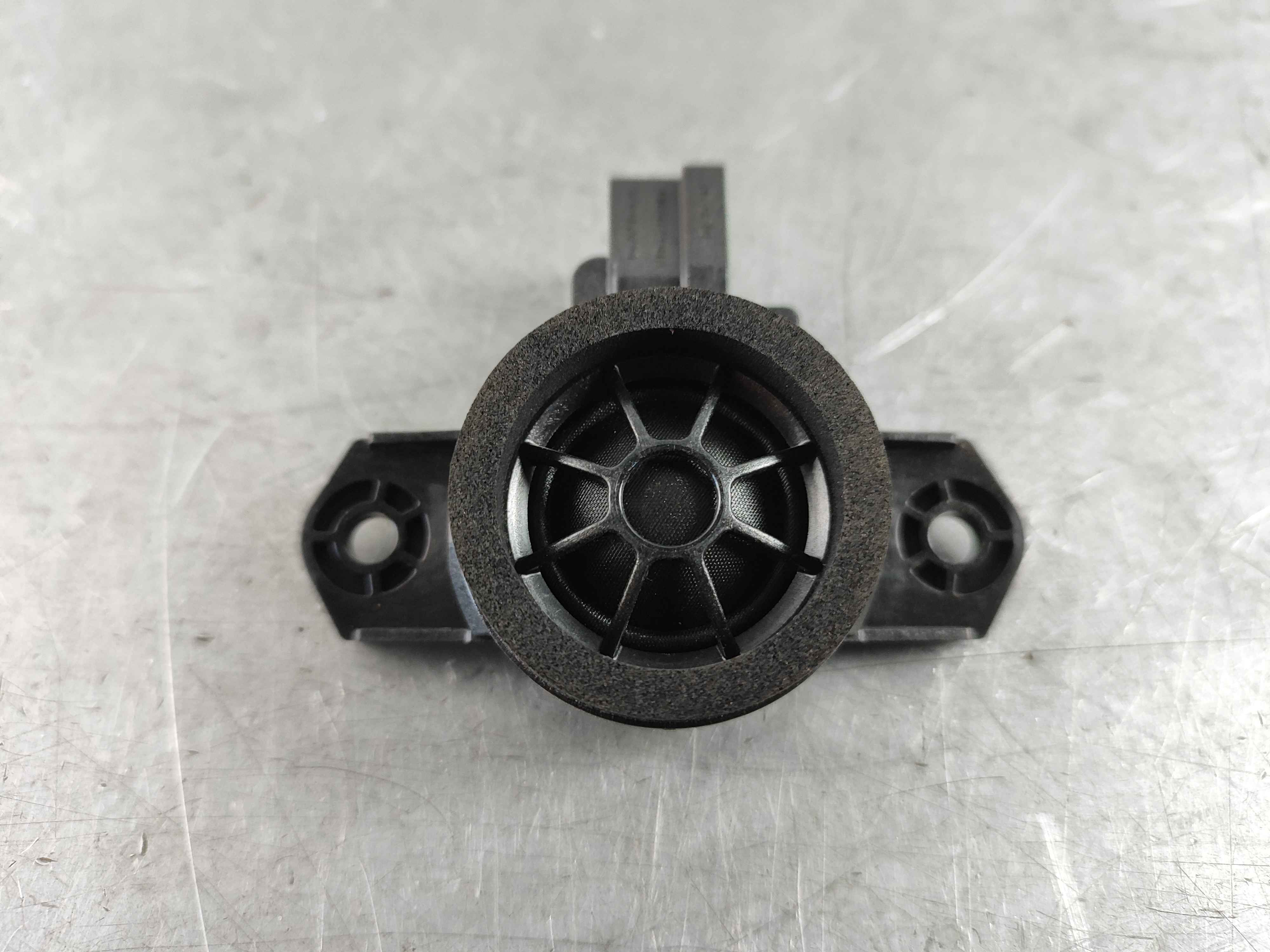 Loudspeaker, treble loudspeaker, front, rear door