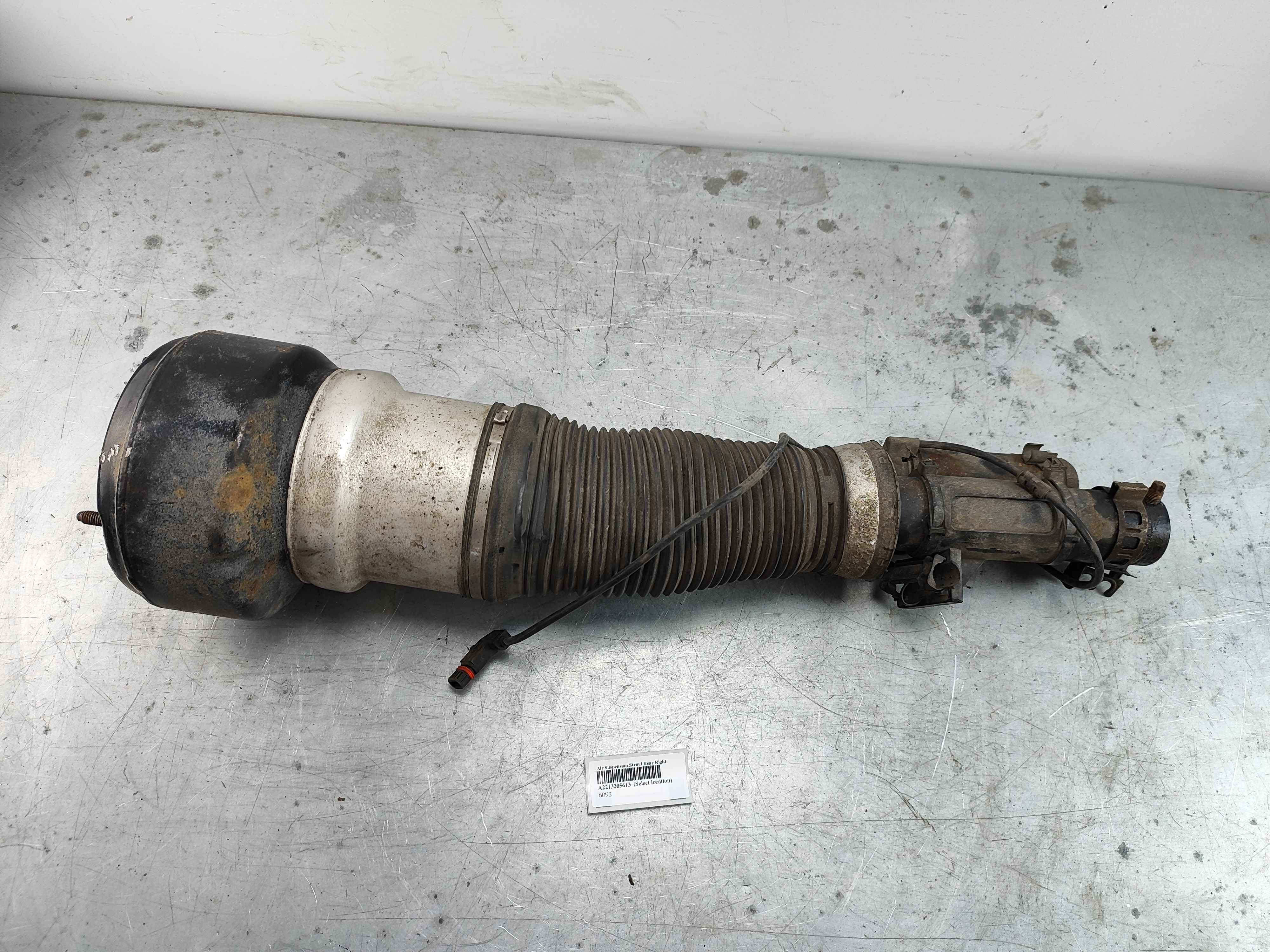 Air Suspension Strut | Rear Right