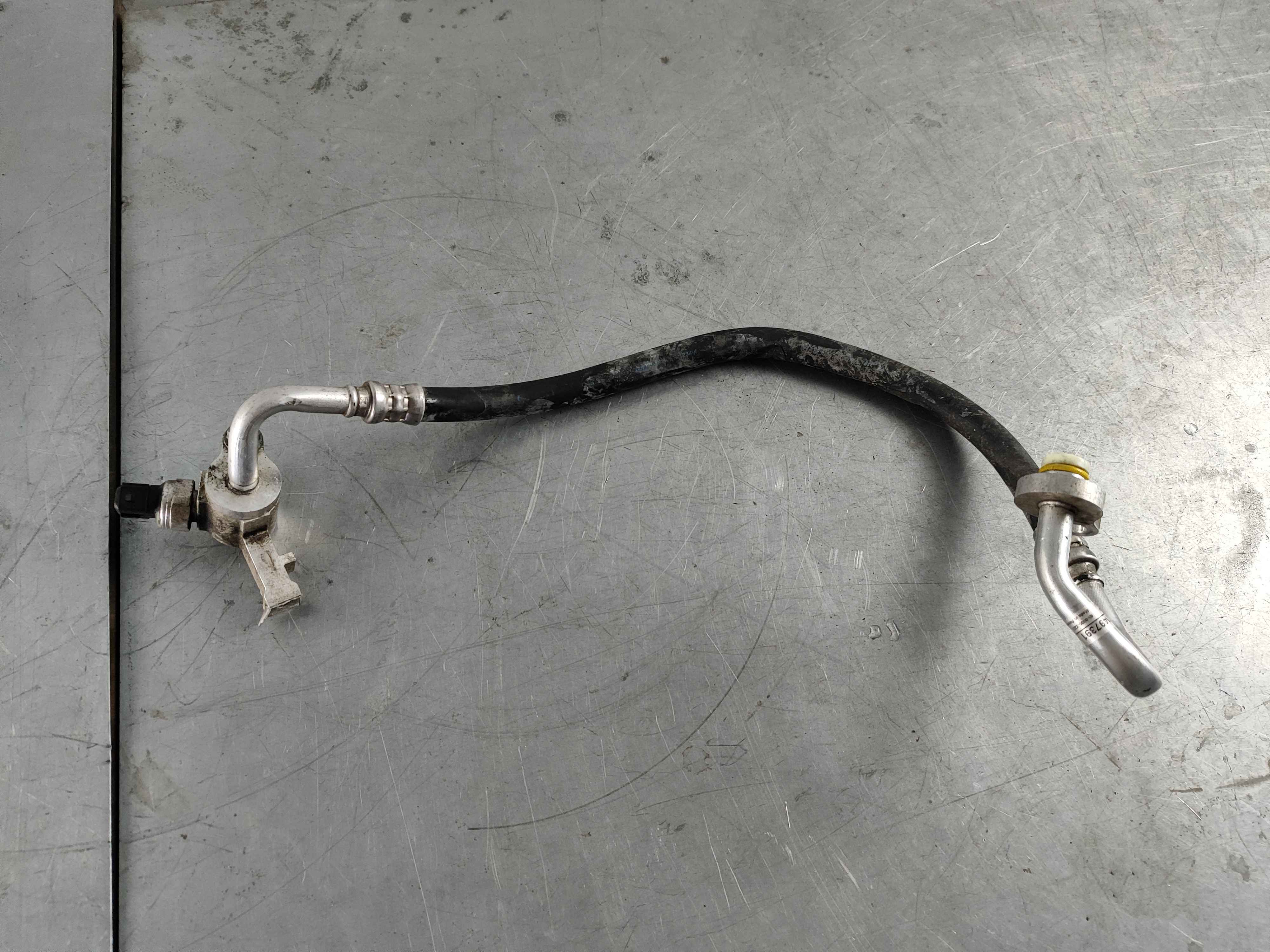Hose