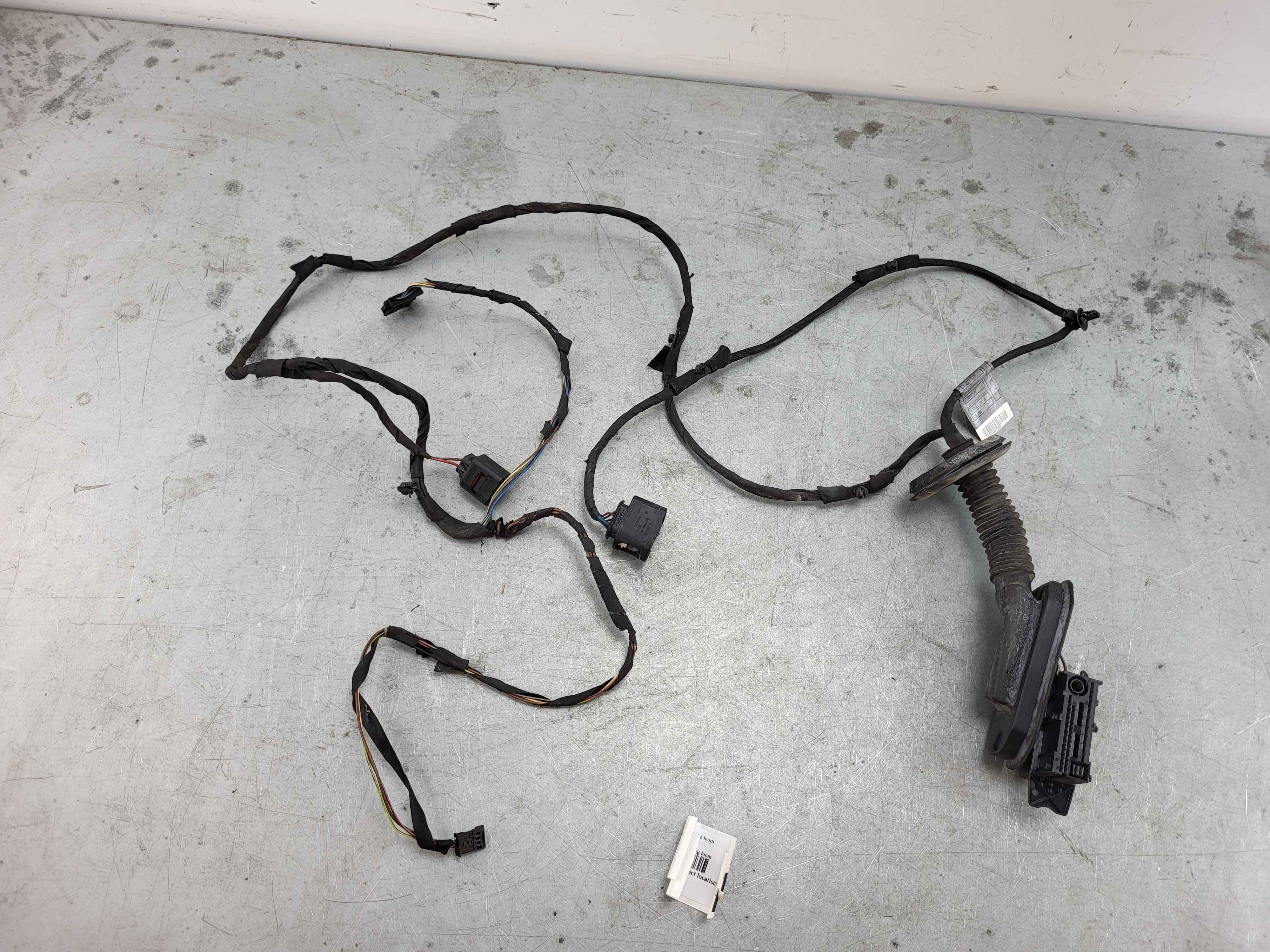 Rear door wiring loom