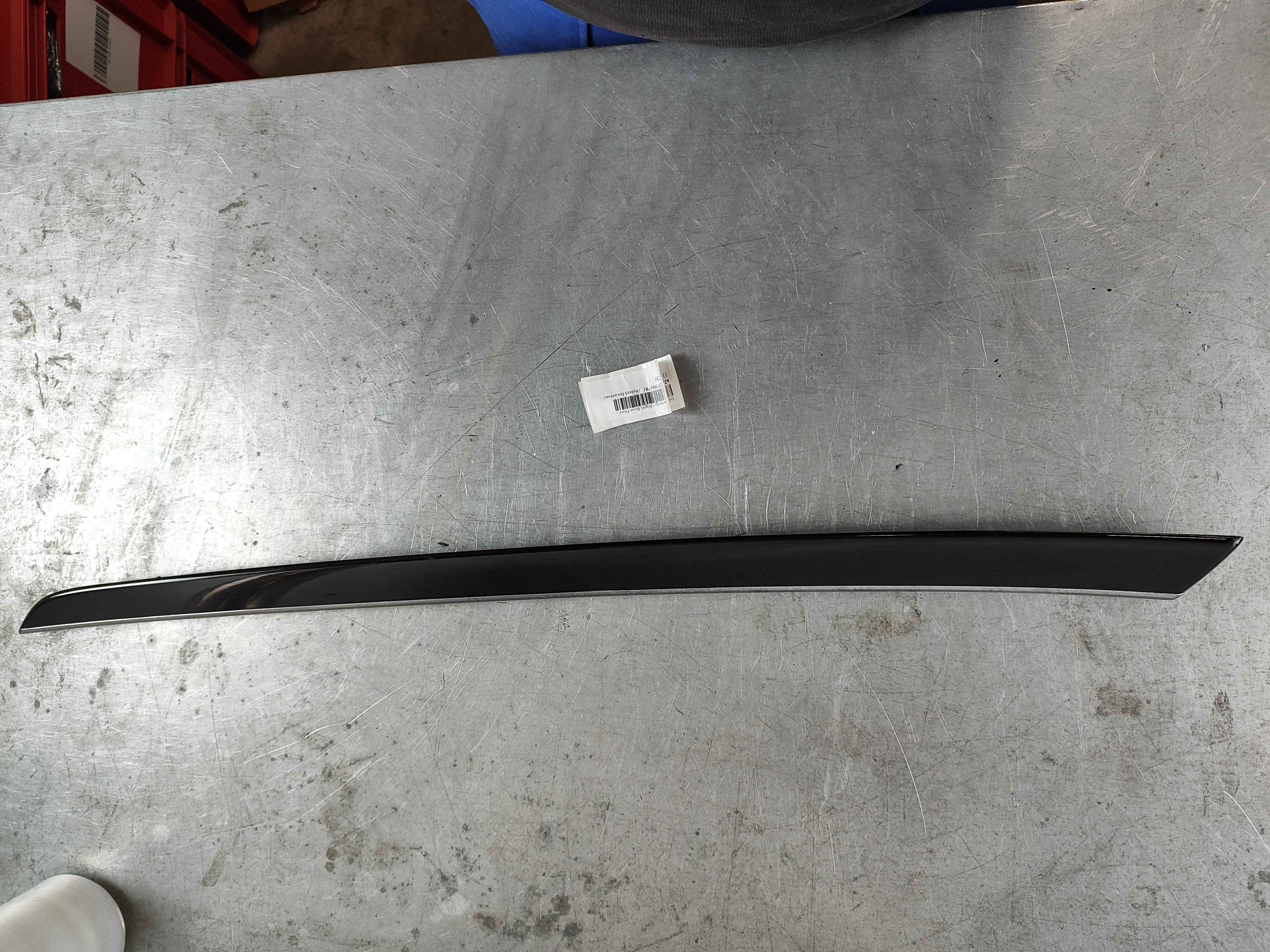Trim Strip | Right Rear Door