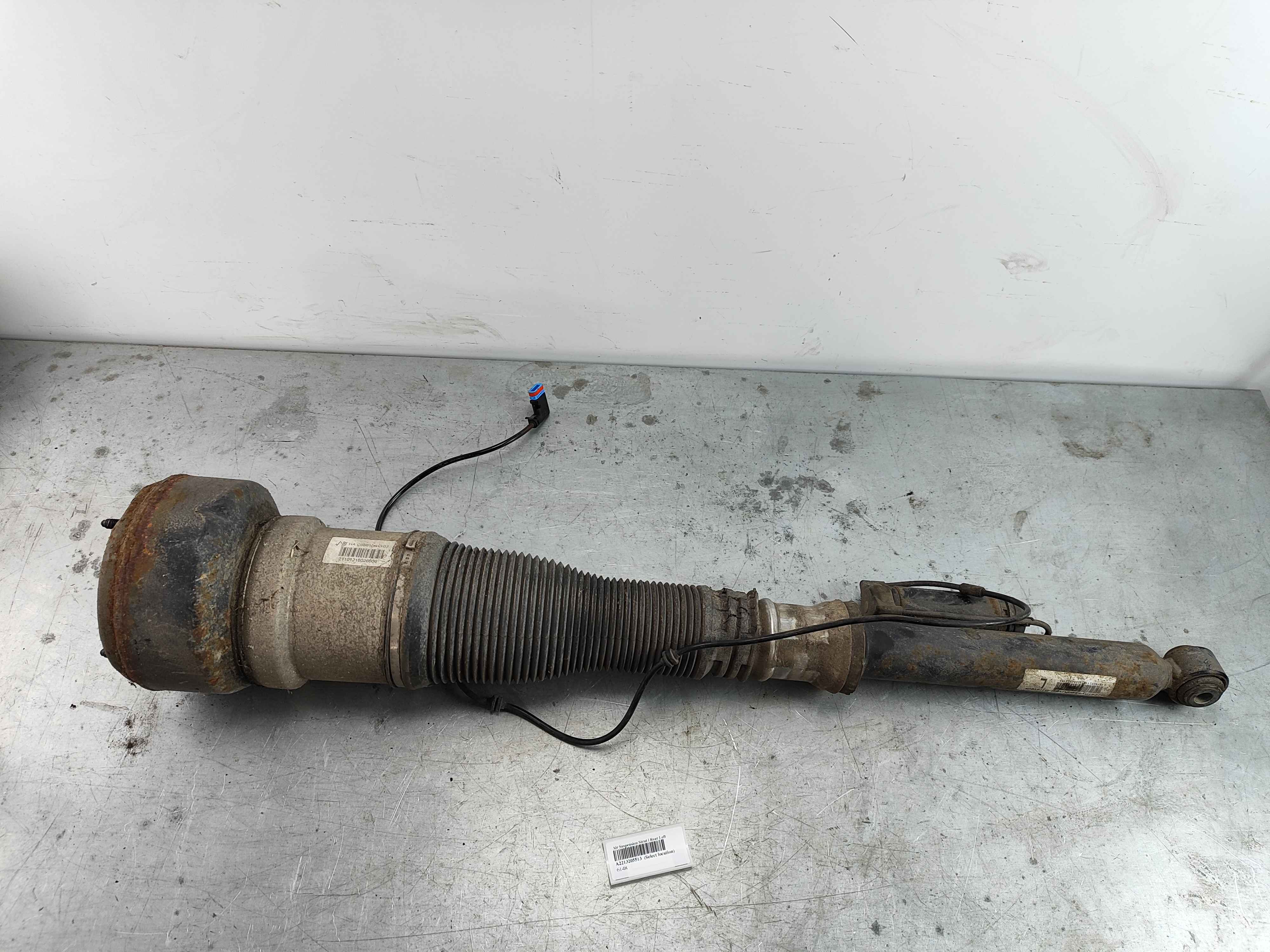 Air Suspension Strut | Rear Left