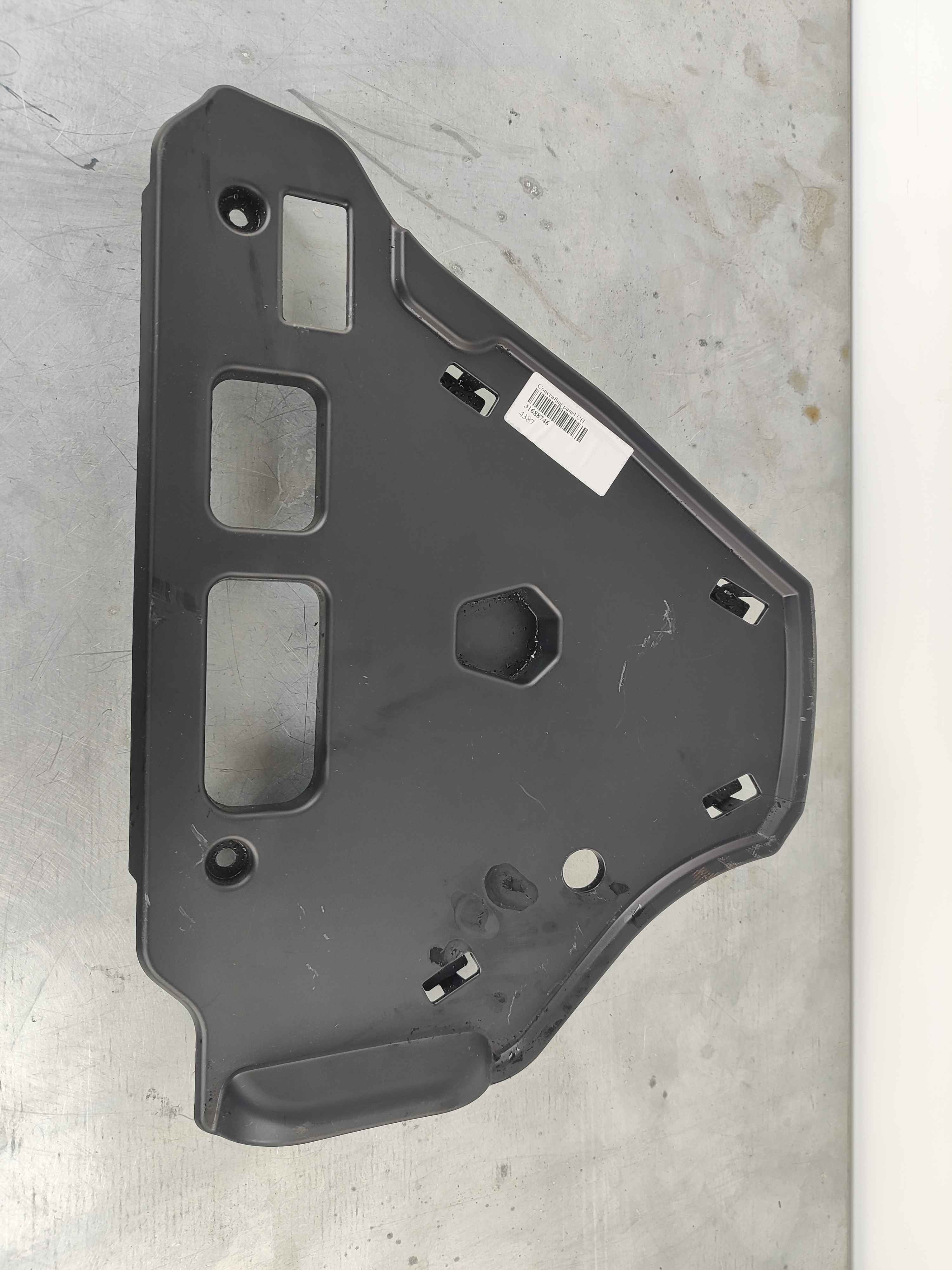 Concealing panel CH 199176- passenger side