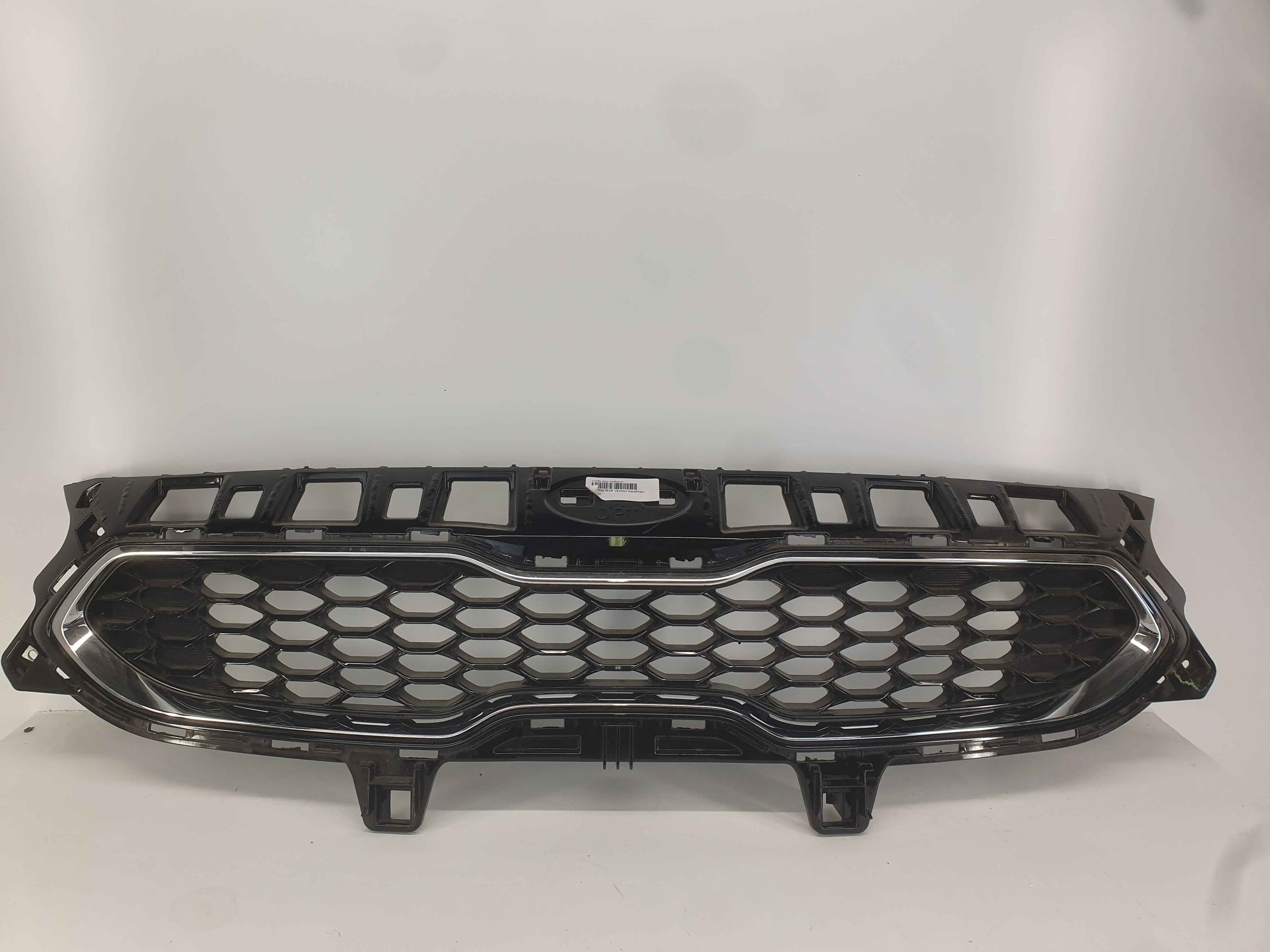 Grille assy-radiator