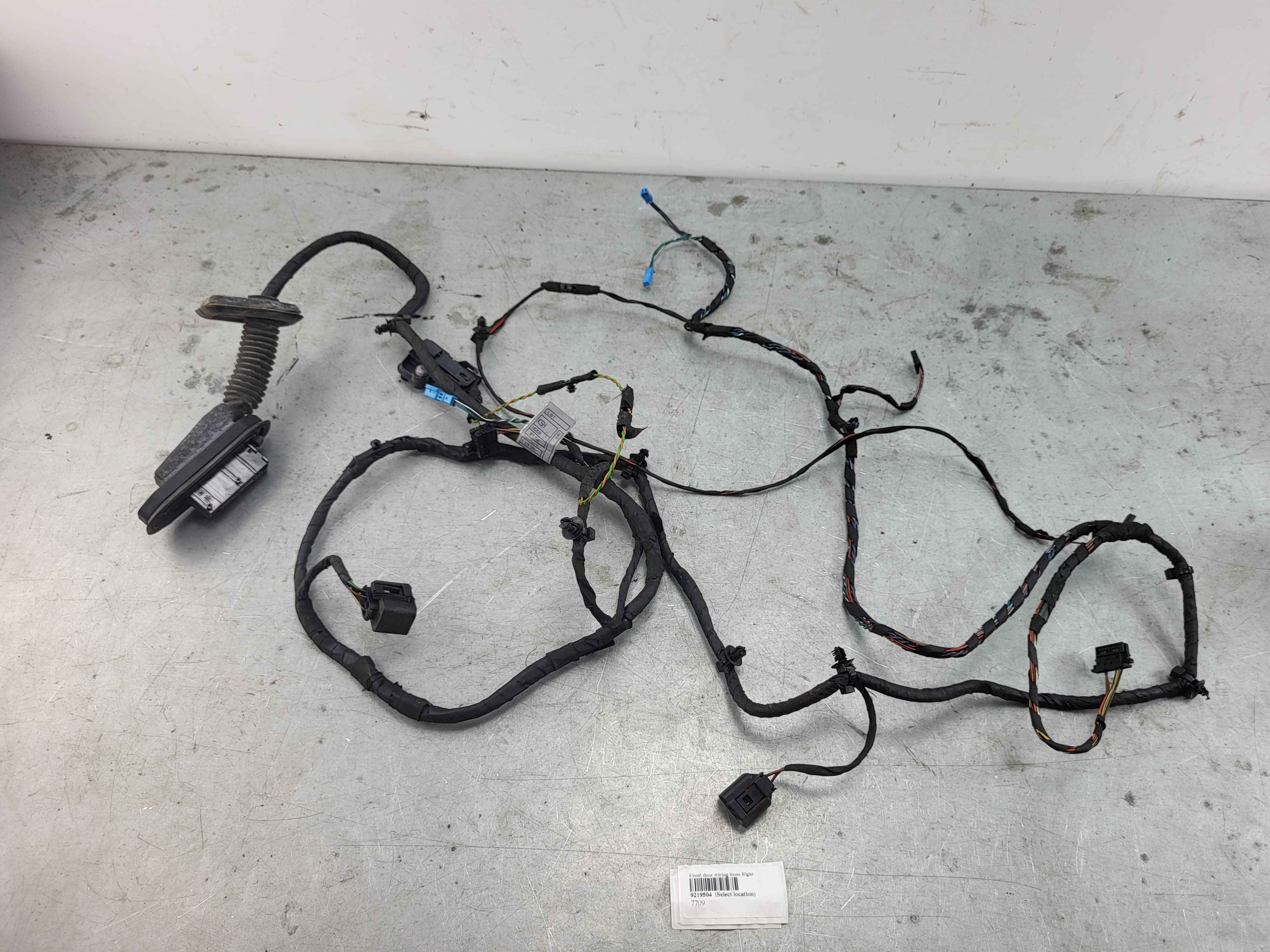 Front door wiring loom Right