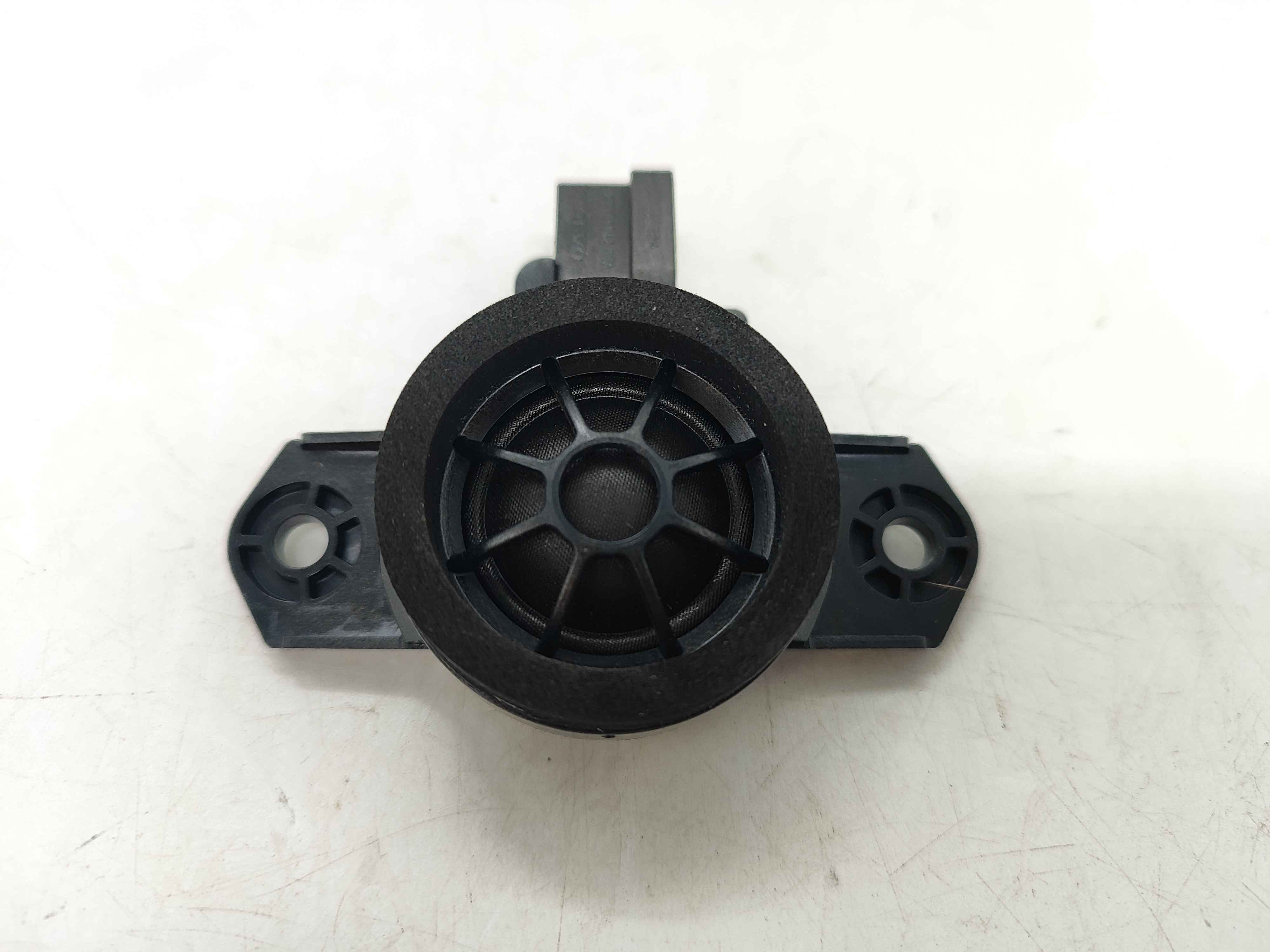 Loudspeaker, treble loudspeaker, front, rear door