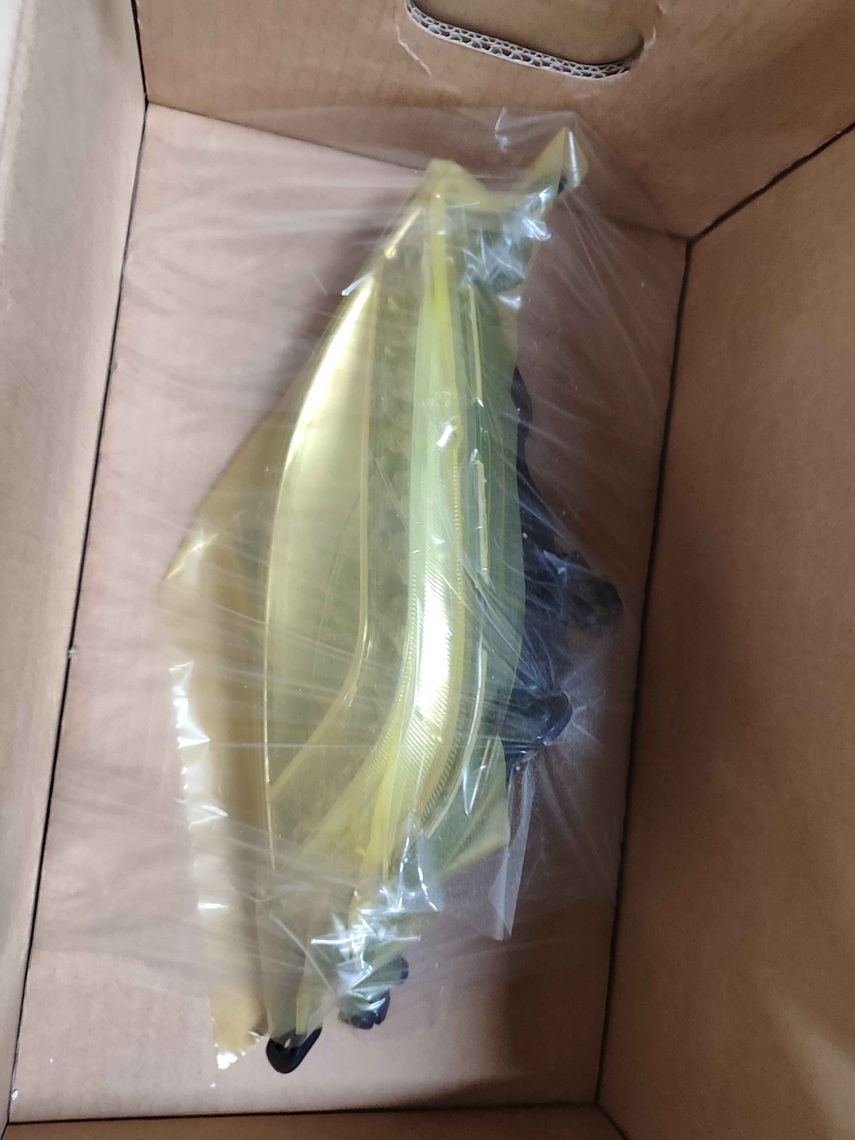Lamp assy-front fog,rh