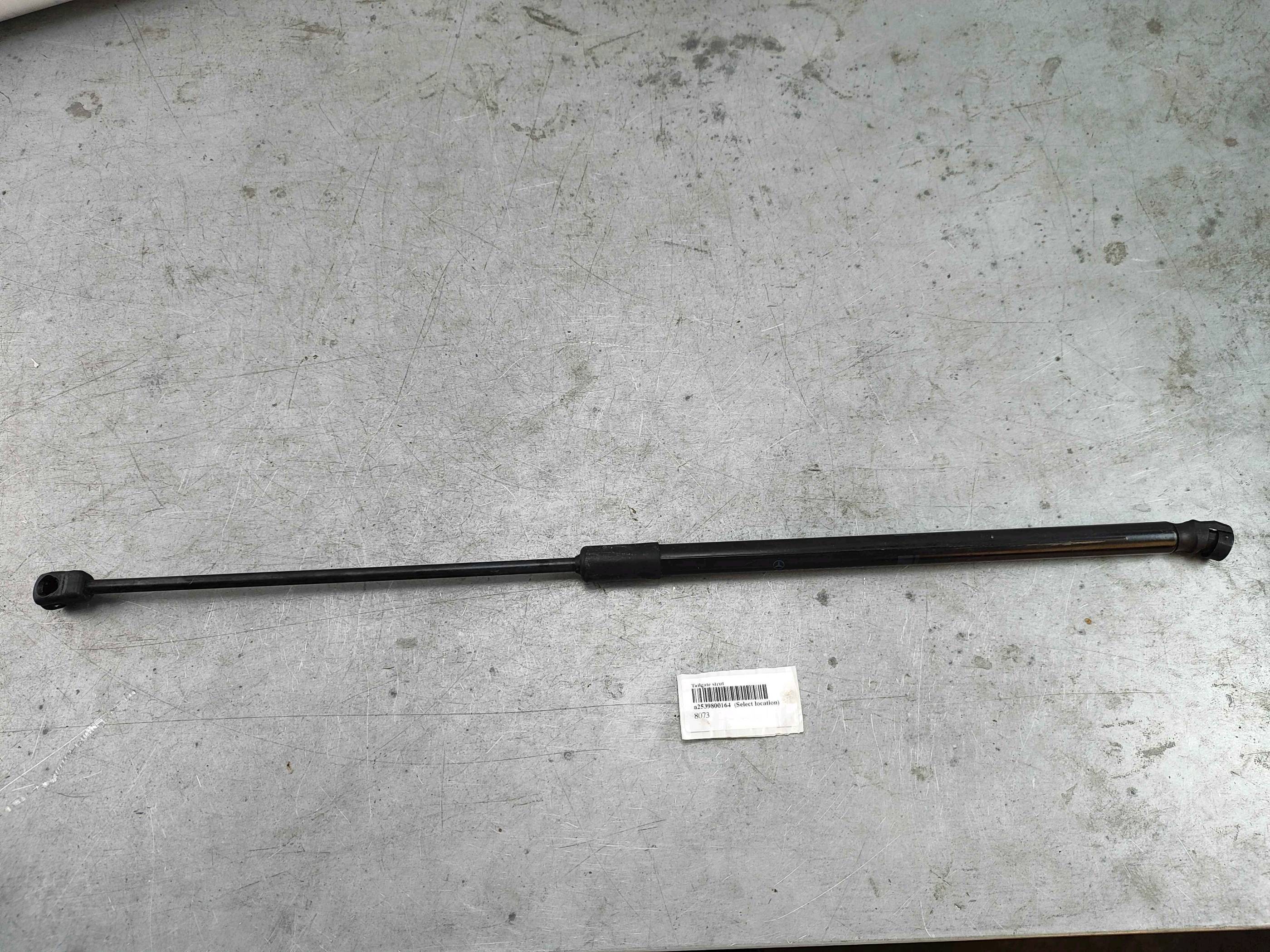 Tailgate strut