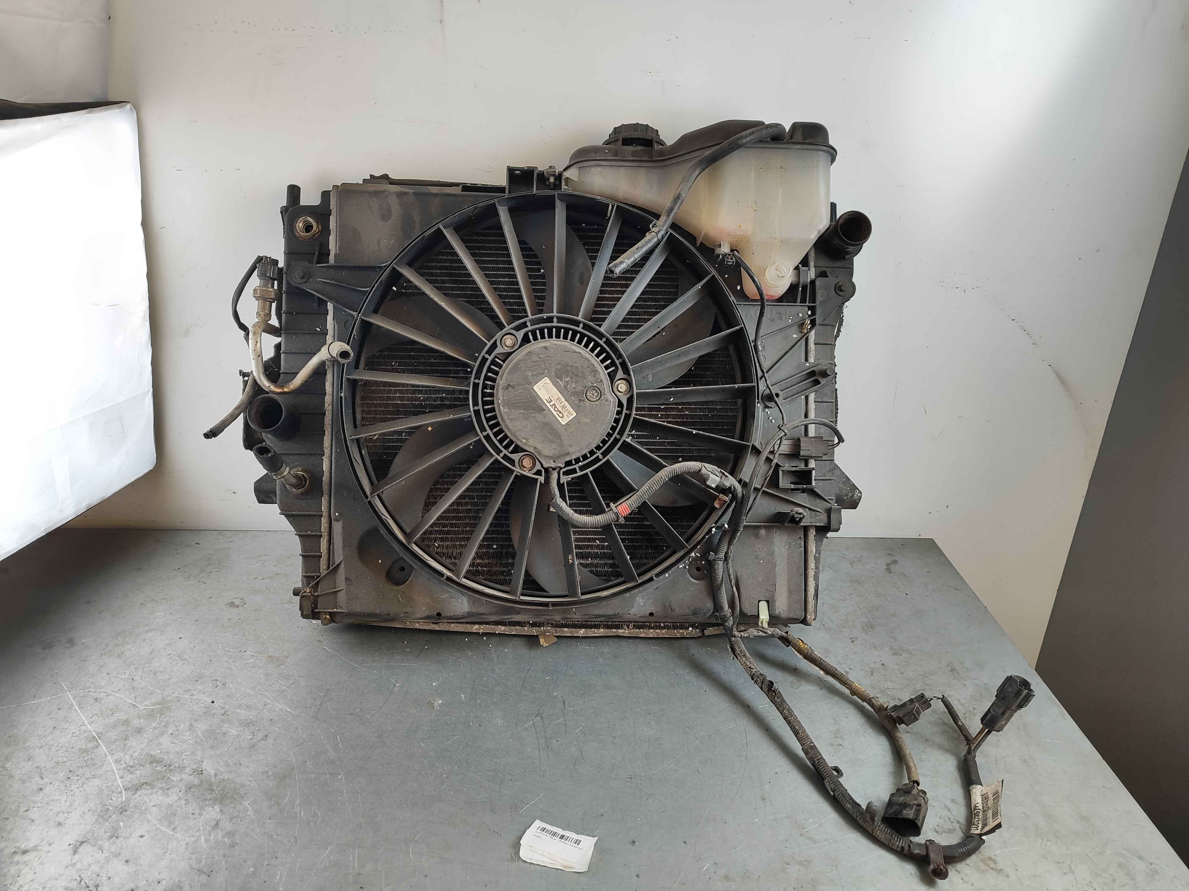 Jaguar 2w9319e786ae