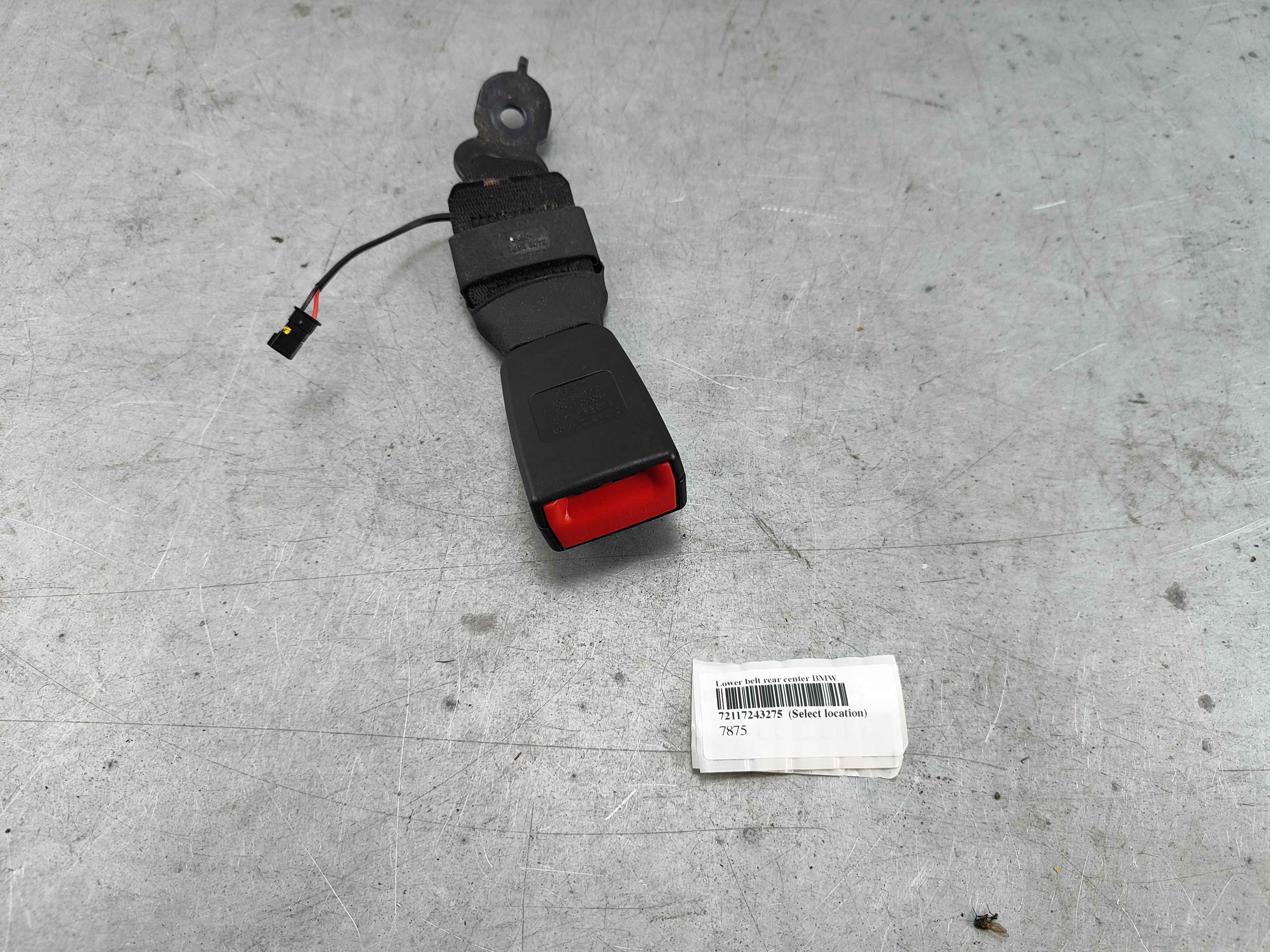 Lower belt rear center BMW
