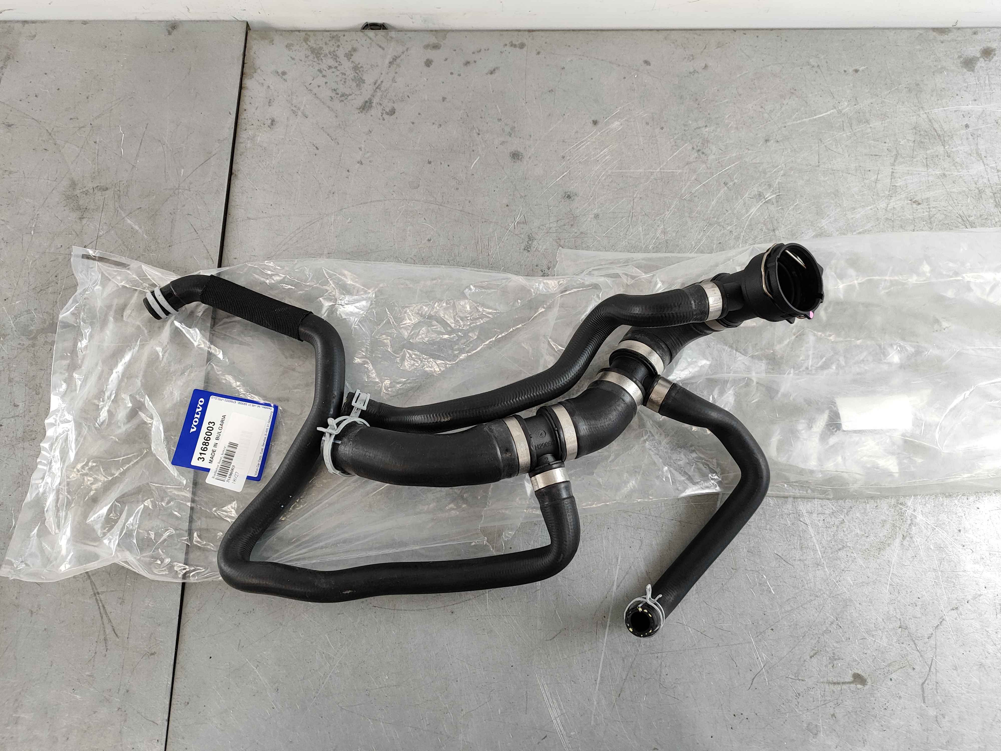 Radiator hose, lower